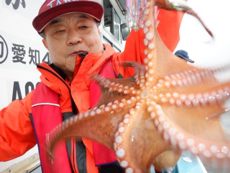 かもめ釣船 釣果