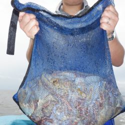 かもめ釣船 釣果