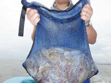 かもめ釣船 釣果