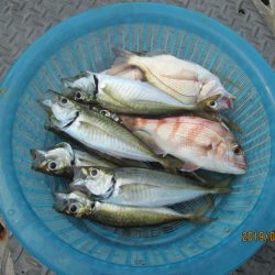 下関フィッシングパーク 釣果