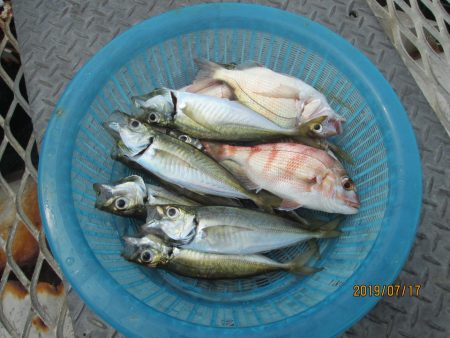 下関フィッシングパーク 釣果