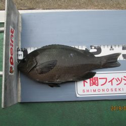 下関フィッシングパーク 釣果