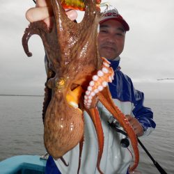 かもめ釣船 釣果