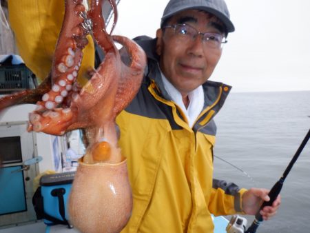 かもめ釣船 釣果