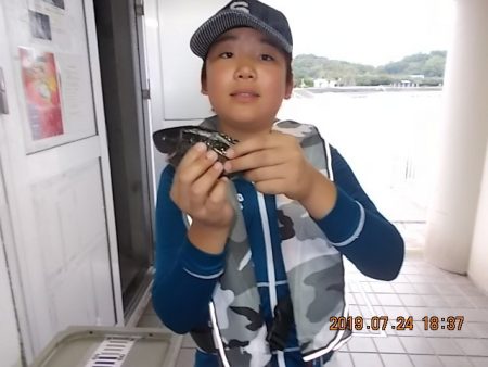 姫路市立遊魚センター 釣果