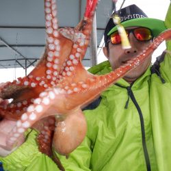 かもめ釣船 釣果