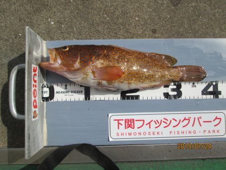 下関フィッシングパーク 釣果