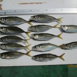 下関フィッシングパーク 釣果