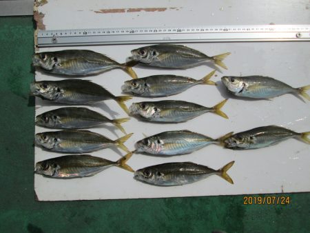 下関フィッシングパーク 釣果