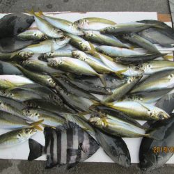 下関フィッシングパーク 釣果