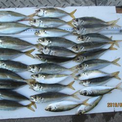 下関フィッシングパーク 釣果