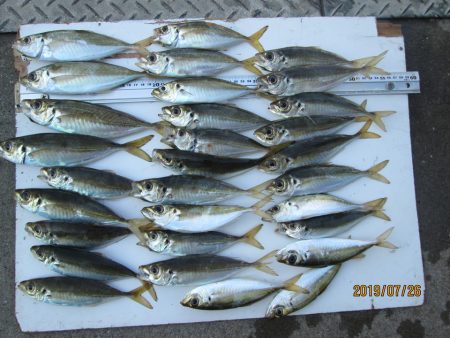 下関フィッシングパーク 釣果