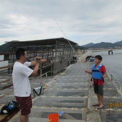 下関フィッシングパーク 釣果