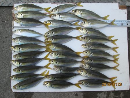 下関フィッシングパーク 釣果