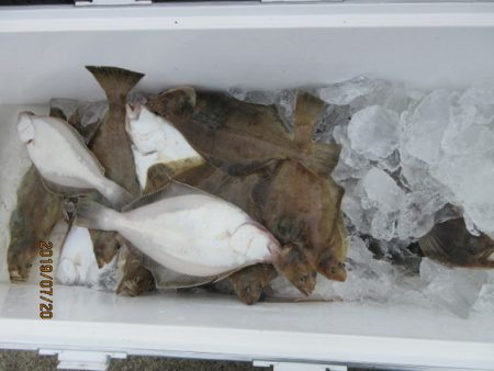 大進丸(新潟) 釣果