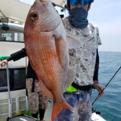 遊漁船 ニライカナイ 釣果