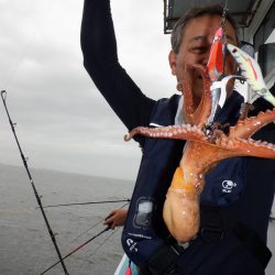 かもめ釣船 釣果