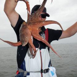 かもめ釣船 釣果