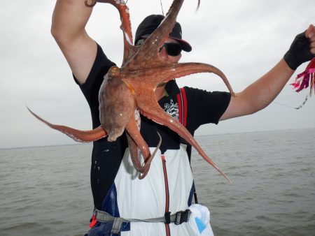 かもめ釣船 釣果