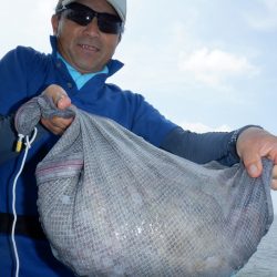 かもめ釣船 釣果