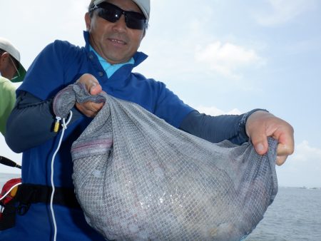 かもめ釣船 釣果