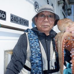 かもめ釣船 釣果