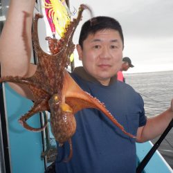 かもめ釣船 釣果