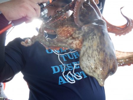 かもめ釣船 釣果