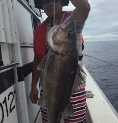 凪紗丸 釣果