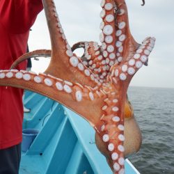 かもめ釣船 釣果