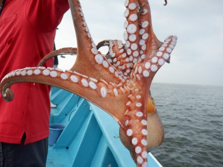 かもめ釣船 釣果