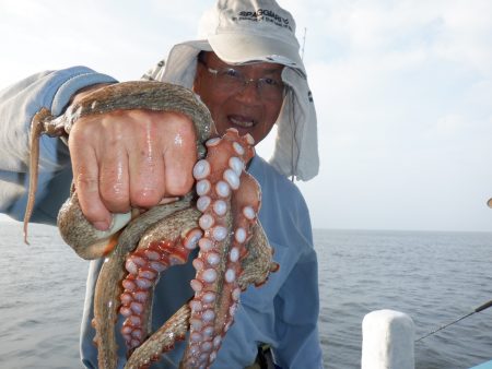 かもめ釣船 釣果