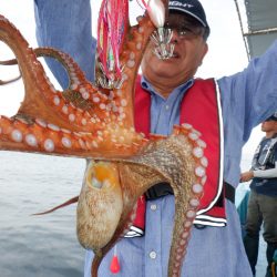 かもめ釣船 釣果