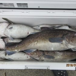 大進丸（新潟） 釣果