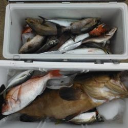 開進丸 釣果