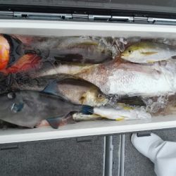 第二大福丸 釣果