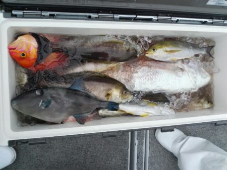 第二大福丸 釣果