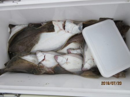 大進丸(新潟) 釣果