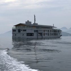 Magic（マジック） 釣果