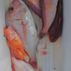 遊漁船 新鋭丸 釣果