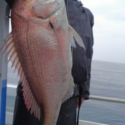 遊漁船 新鋭丸 釣果