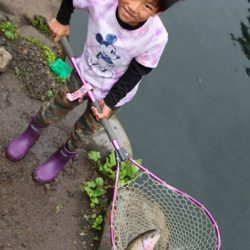 小菅トラウトガーデン 釣果