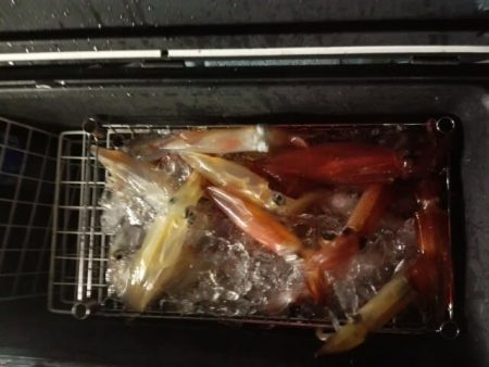 第二大福丸 釣果