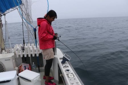 スカイマリン 釣果