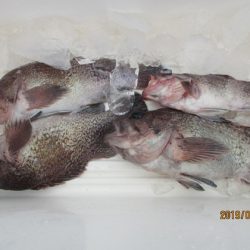 大進丸（新潟） 釣果