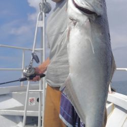 遊漁船 新鋭丸 釣果