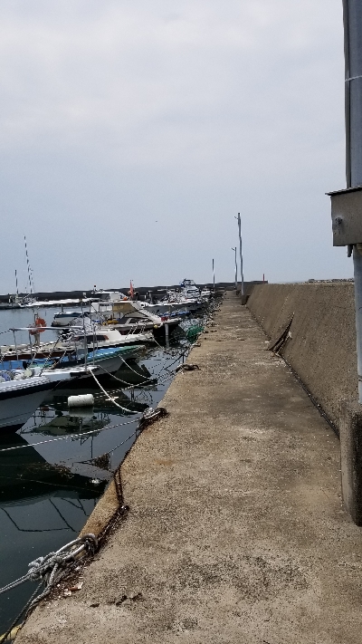 チヌ狙いだったのですが