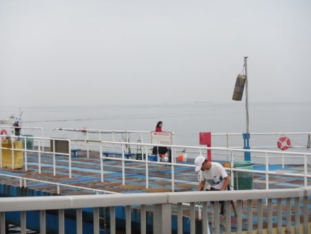 オリジナルメーカー海づり公園(市原市海づり…