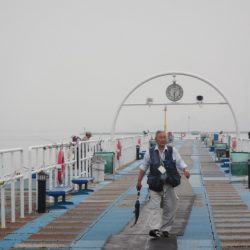 オリジナルメーカー海づり公園(市原市海づり施設) 釣果