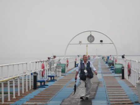 オリジナルメーカー海づり公園(市原市海づり施設) 釣果